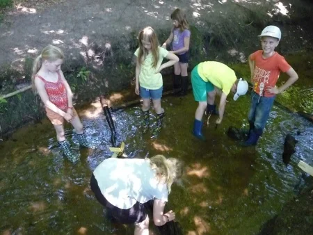 Foto der Galerie: 1. – 3. Juli 2015: Klassenfahrt der 4a und 4b nach Gut Sunder