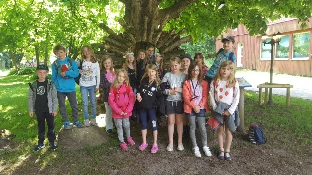 Foto der Galerie: Klassenfahrt Gut Sunder Klasse 3 vom 12.-14.6.2017