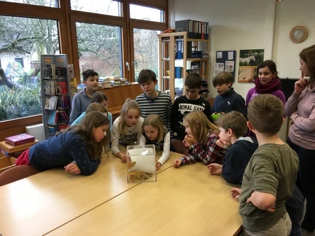 Zur Galerie: Die Kinder der Klasse 4b erforschen am 22.2.2017 als Detektive die IGS Burgdorf