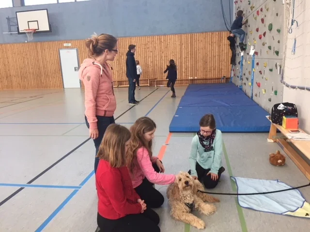 Foto der Galerie: 13.02.2018 Schnuppertag an der IGS Burgdorf