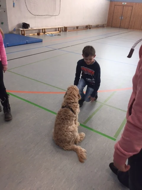 Foto der Galerie: 13.02.2018 Schnuppertag an der IGS Burgdorf