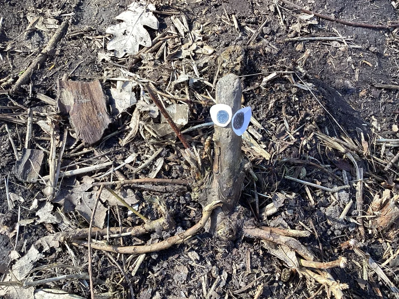 Foto der Galerie: Kl. 3a + 3b - Viele vergnügte Gesichter