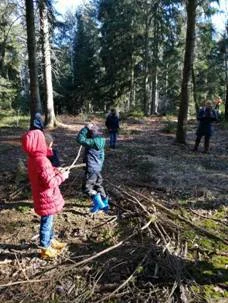 Foto der Galerie: Waldtag