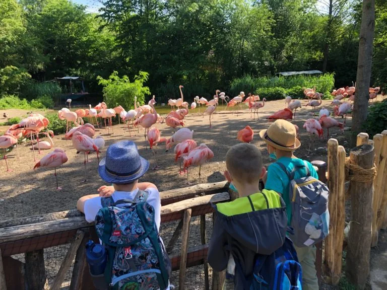Foto der Galerie: Eingangsstufe im Zoo