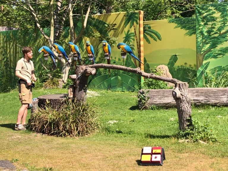Zur Galerie: Eingangsstufe im Zoo