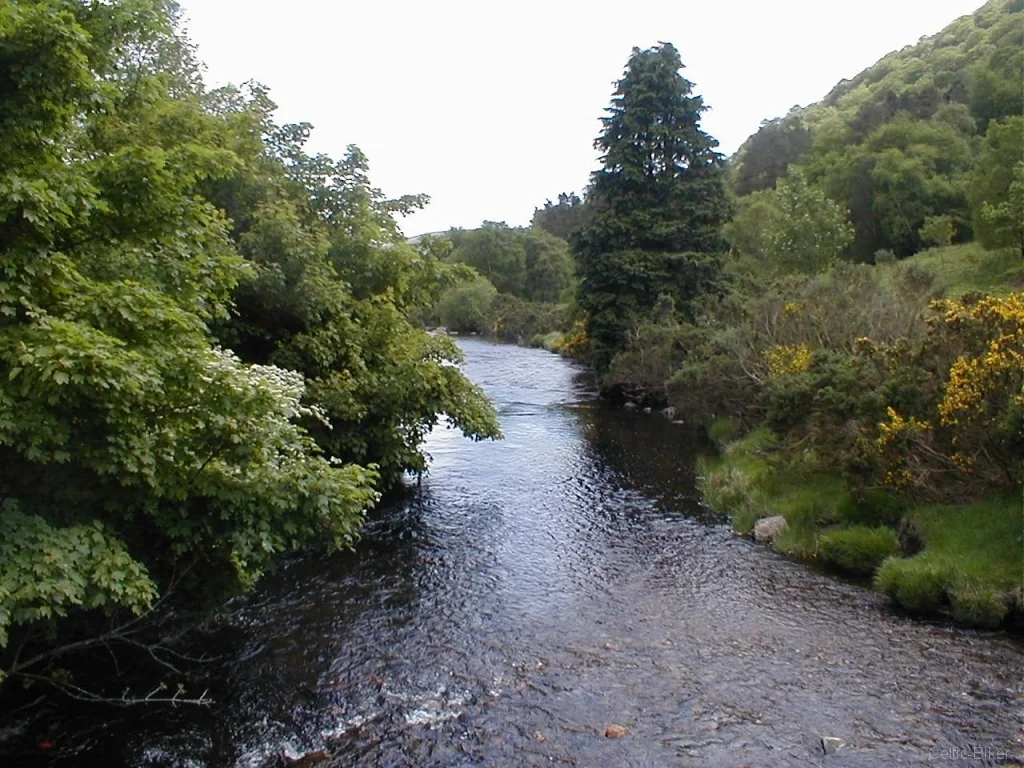Bild: River through Glendalough National Park