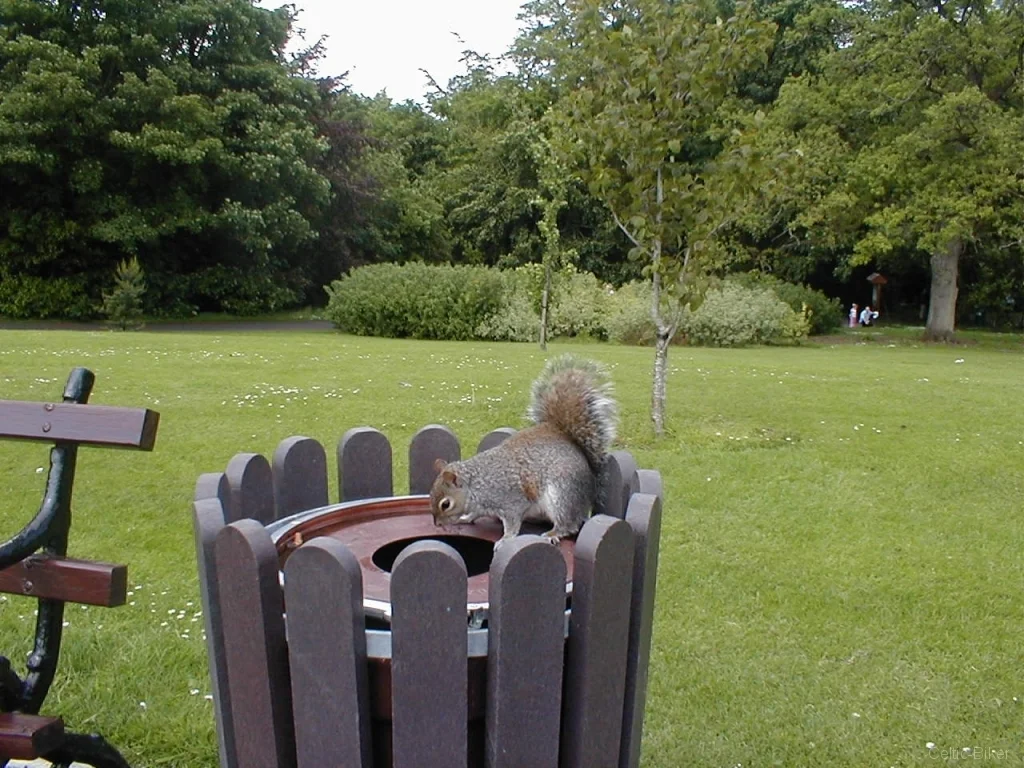 Bild: Kilkenny Castle in the park