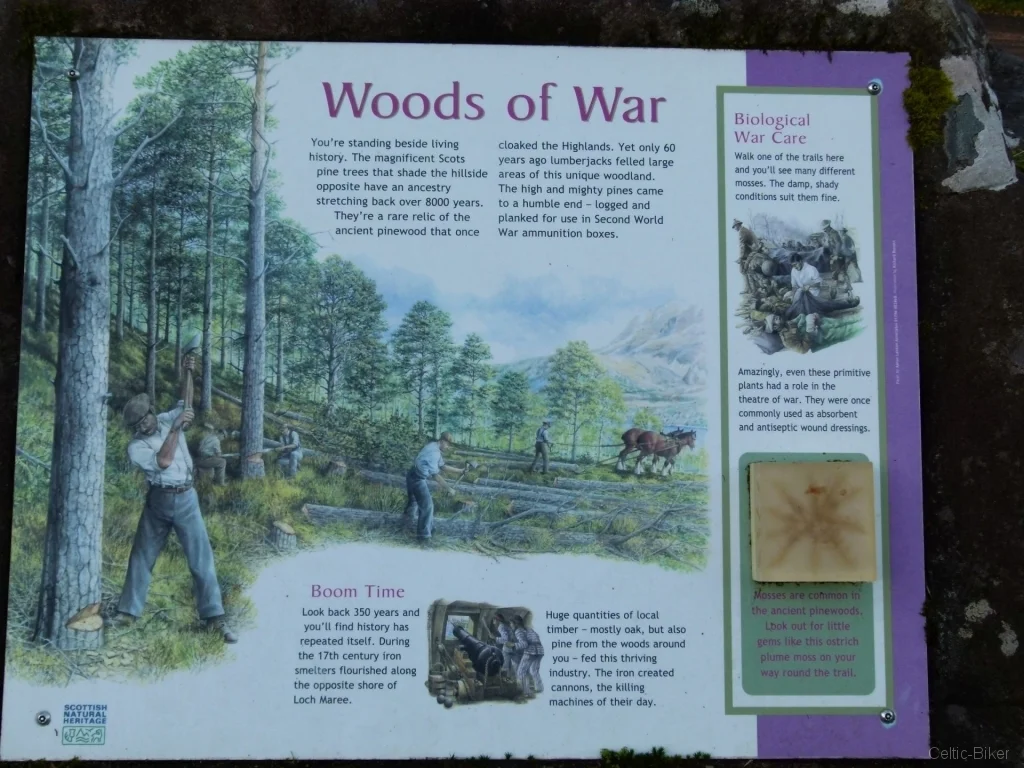 Bild: Beinn Eighe - Woods of War
