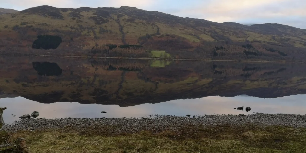 Bild: Water reflections