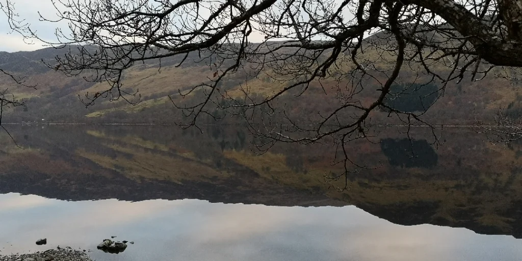 Bild: Water reflections