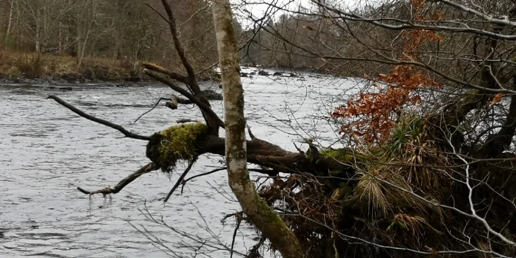 Bild: View towards Falls of Darroch