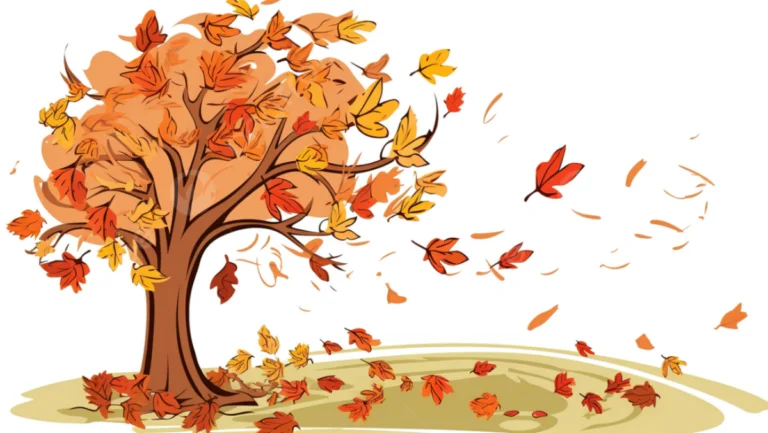 Zur Galerie: Herbst