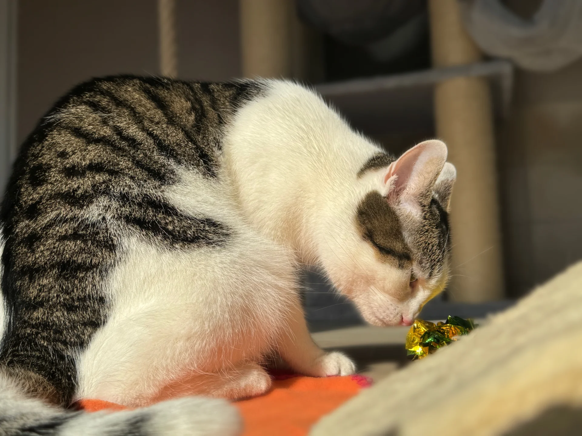 Zur Galerie: Mia