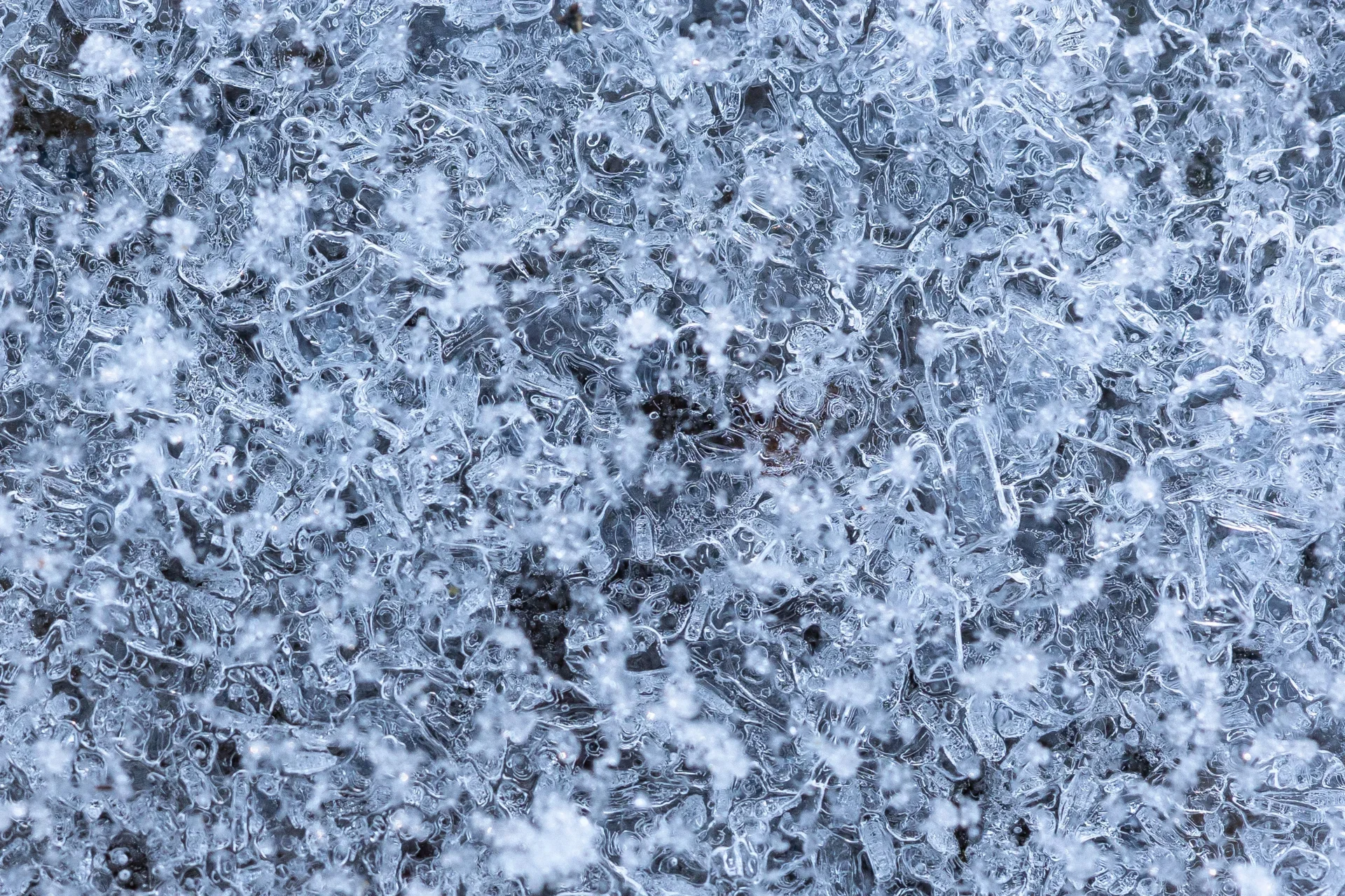 Angela Foerster - Dezember-gefrorene Pfuetze  (Bild vergr&ouml;&szlig;ern)