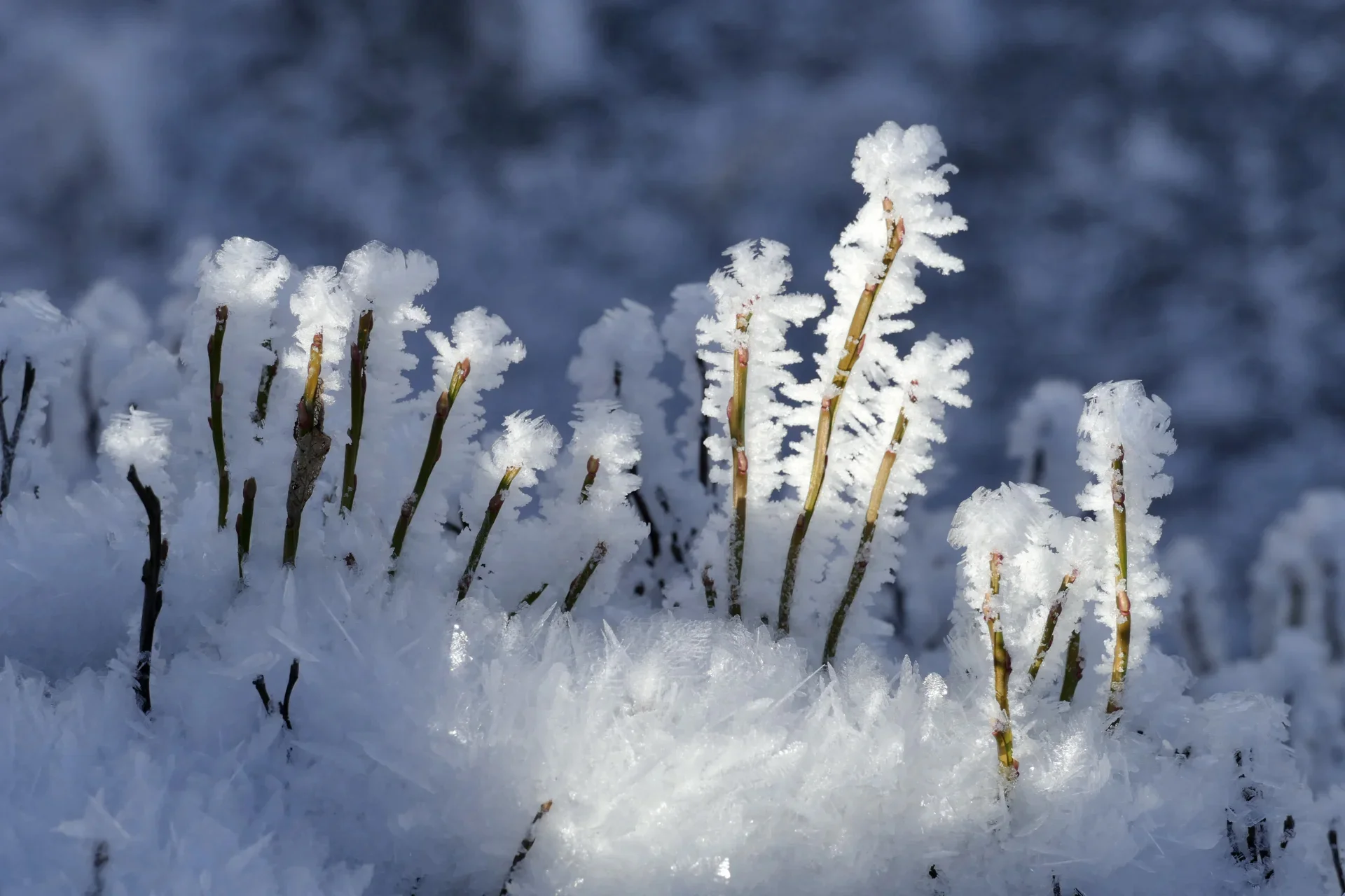 Juergen Thierbach - November-Eiswelten  (Bild vergr&ouml;&szlig;ern)