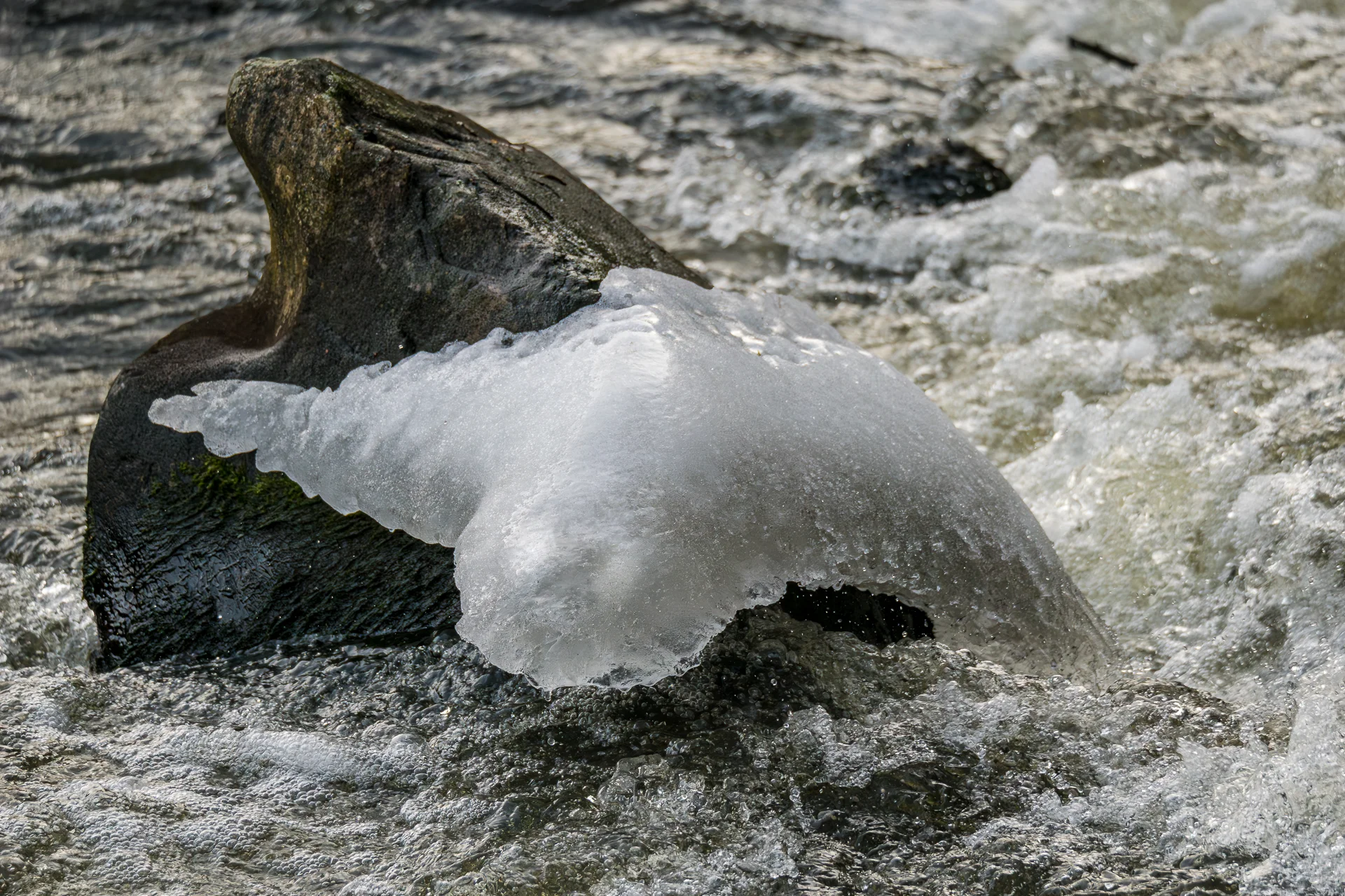 Peter Haider - Januar-Eisskulptur  (Bild vergr&ouml;&szlig;ern)