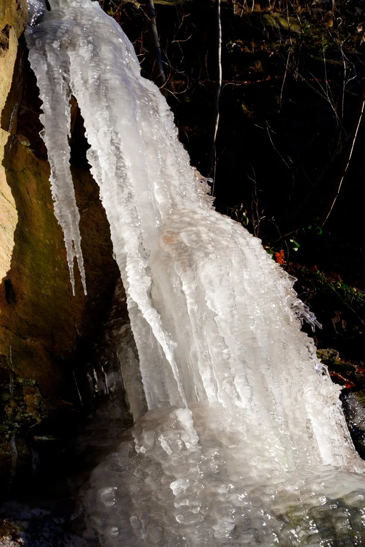 Peter Tittmann - Januar-Eisreiher  (Bild vergr&ouml;&szlig;ern)
