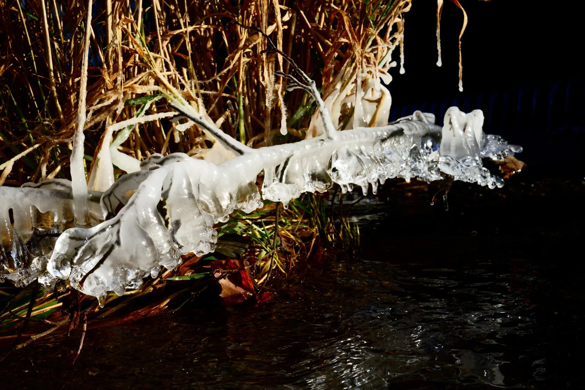 Peter Tittmann - November-Eisdrache  (Bild vergr&ouml;&szlig;ern)