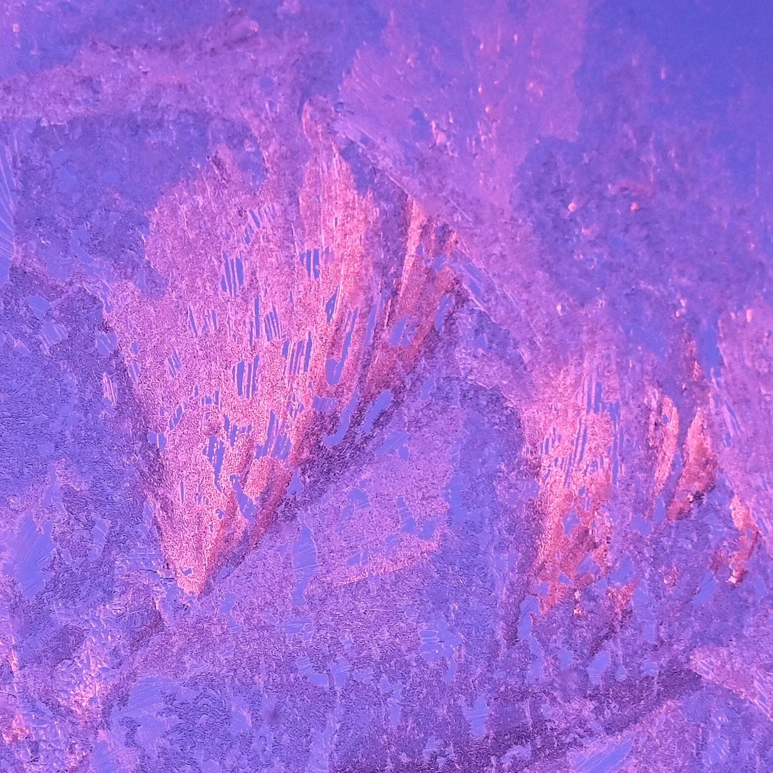 Steffen Doege - Januar-Eisblume im Morgenrot  (Bild vergr&ouml;&szlig;ern)