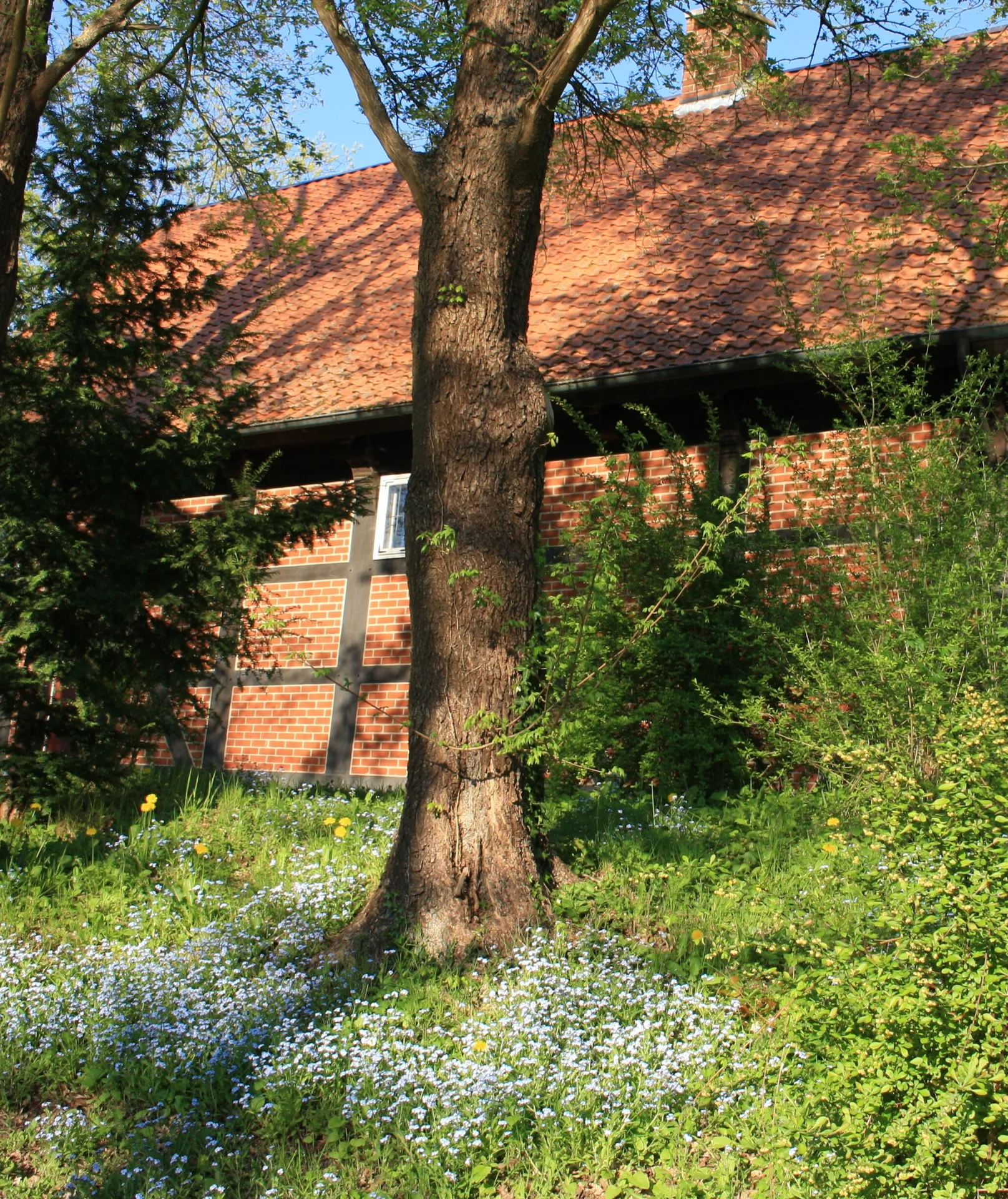 Fr&uuml;hlingssonnenlicht l&auml;sst die Natur erwachen  (Bild vergr&ouml;&szlig;ern)