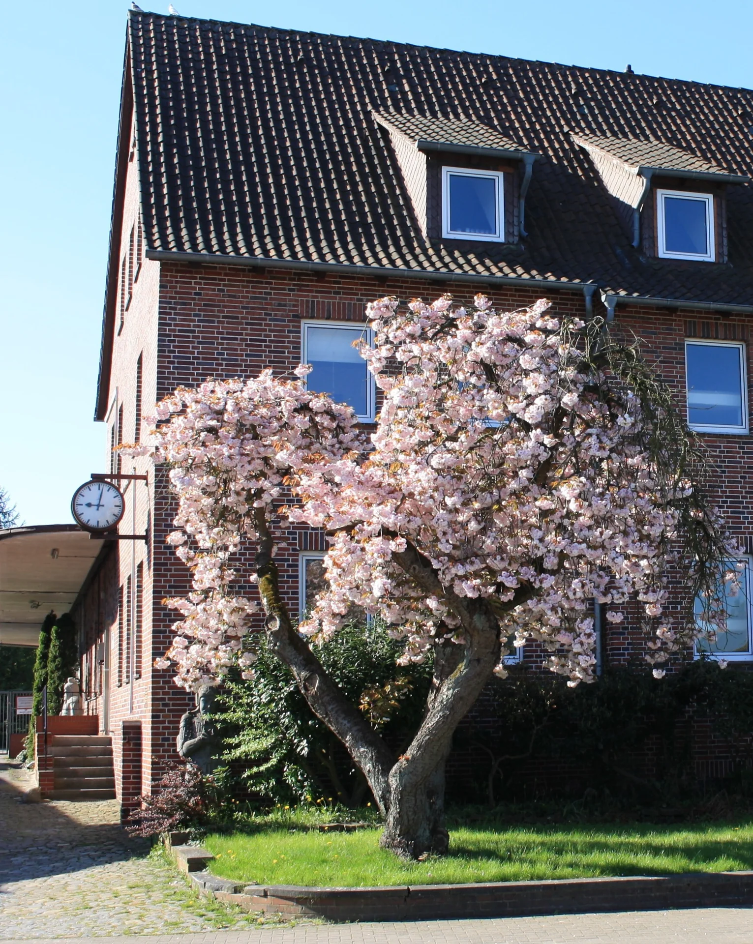 es wird "Zeit f&uuml;r den Fr&uuml;hling"  (Bild vergr&ouml;&szlig;ern)