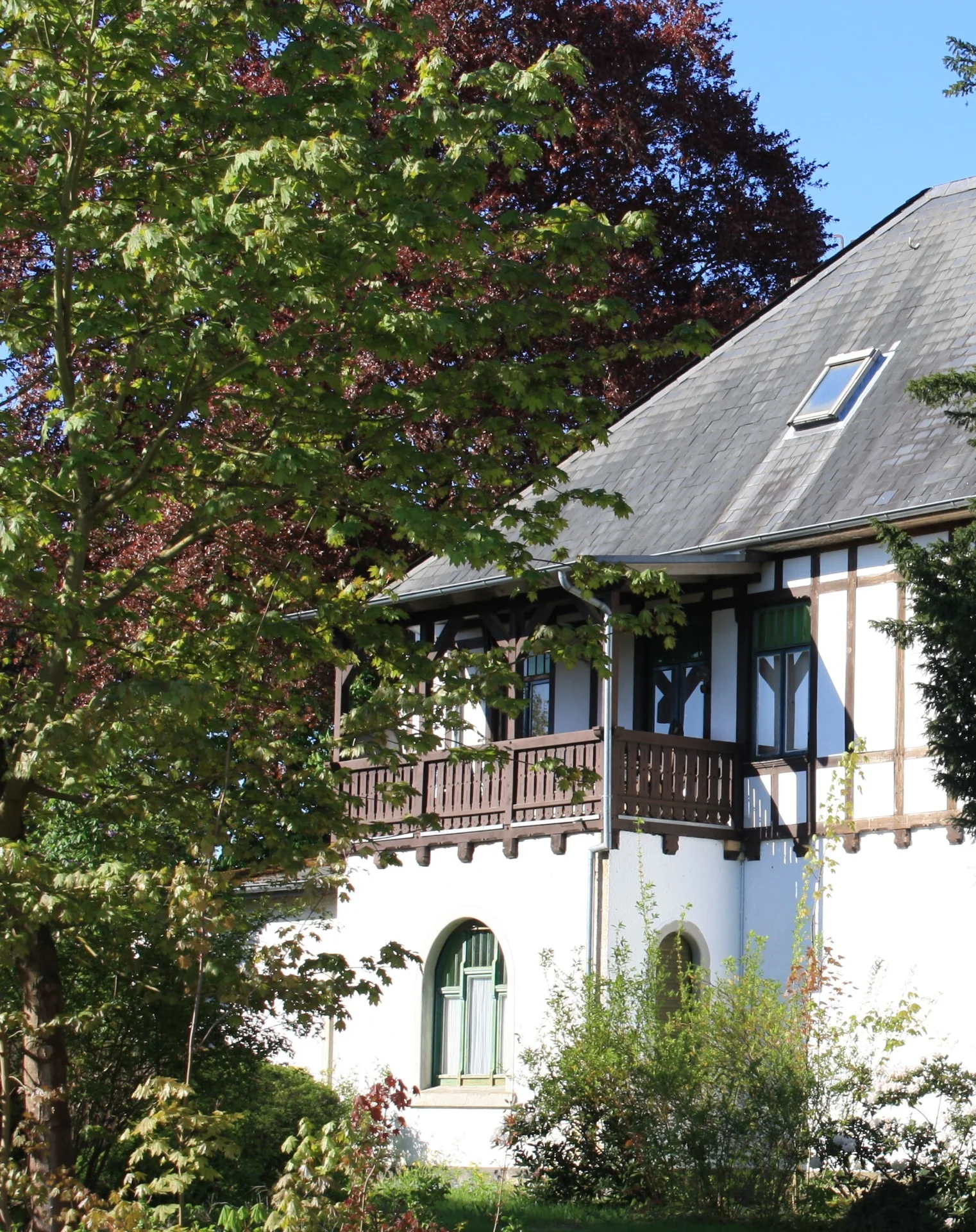 ein strahlender Fr&uuml;hling  (Bild vergr&ouml;&szlig;ern)