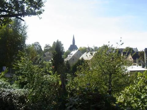 Bild  der Galerie