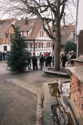 Vorschaubild der Galerie