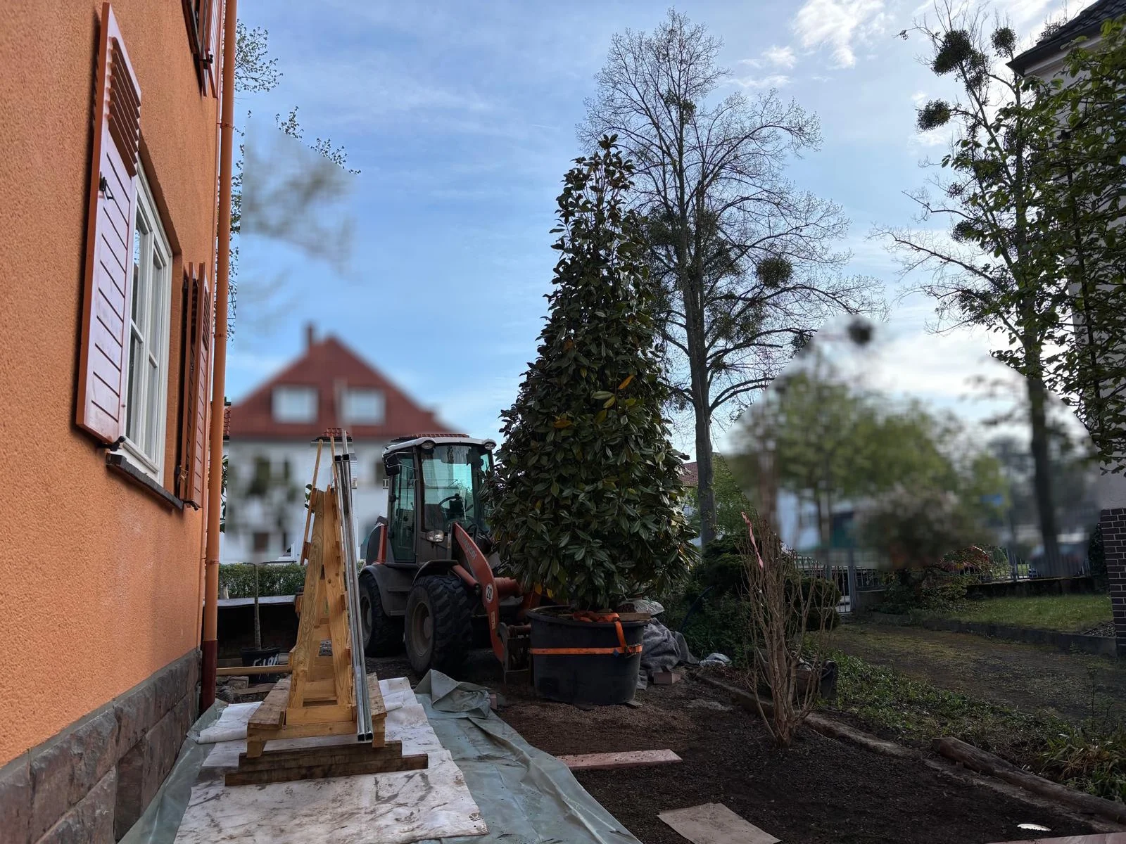Zur Galerie: Hausgarten Kassel