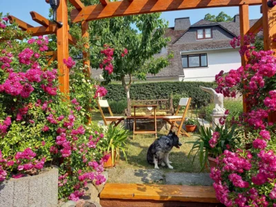 Vorschaubild: Fewo Ina-Garten (2)