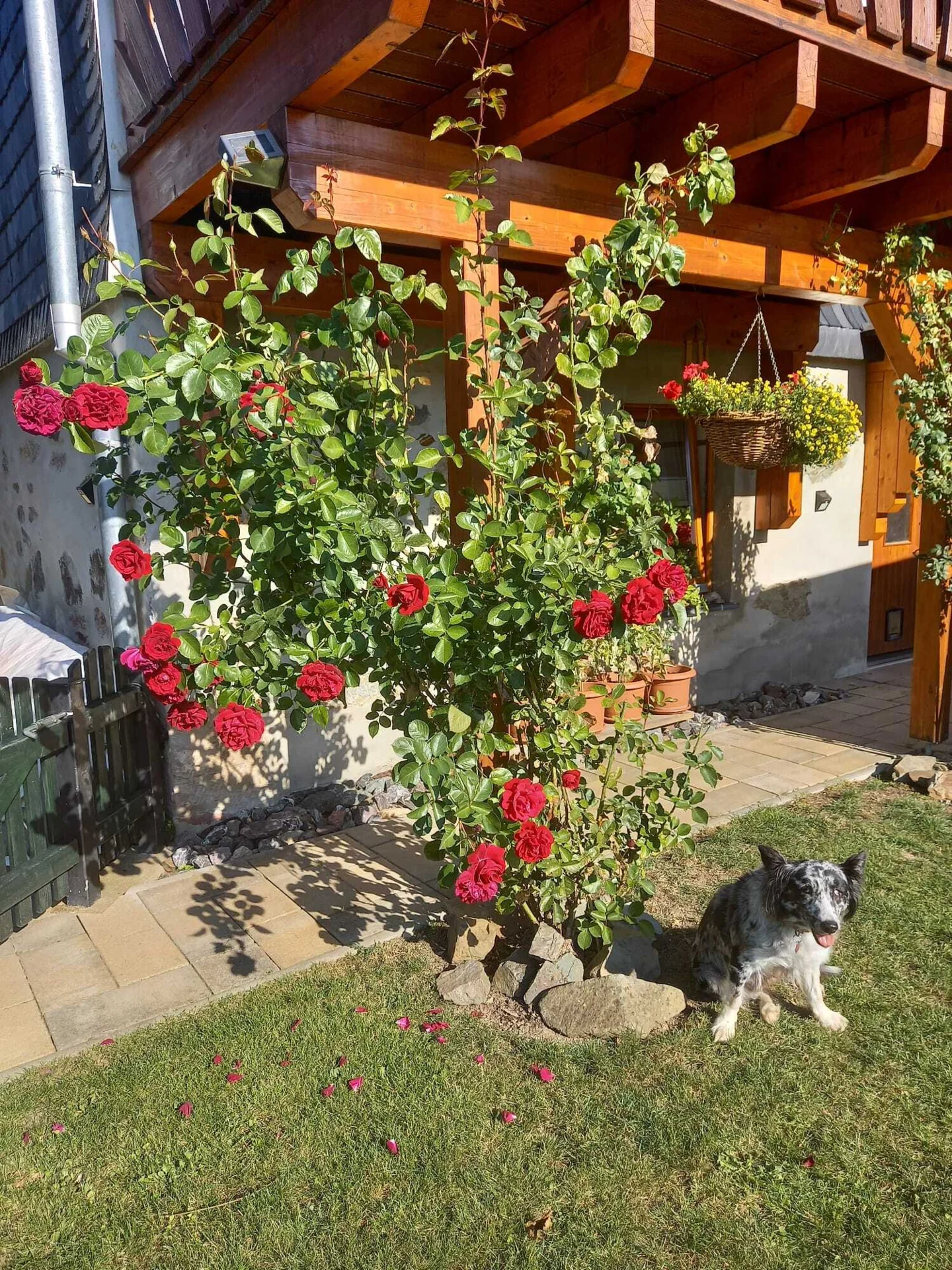 Bild: Fewo Ina-Garten