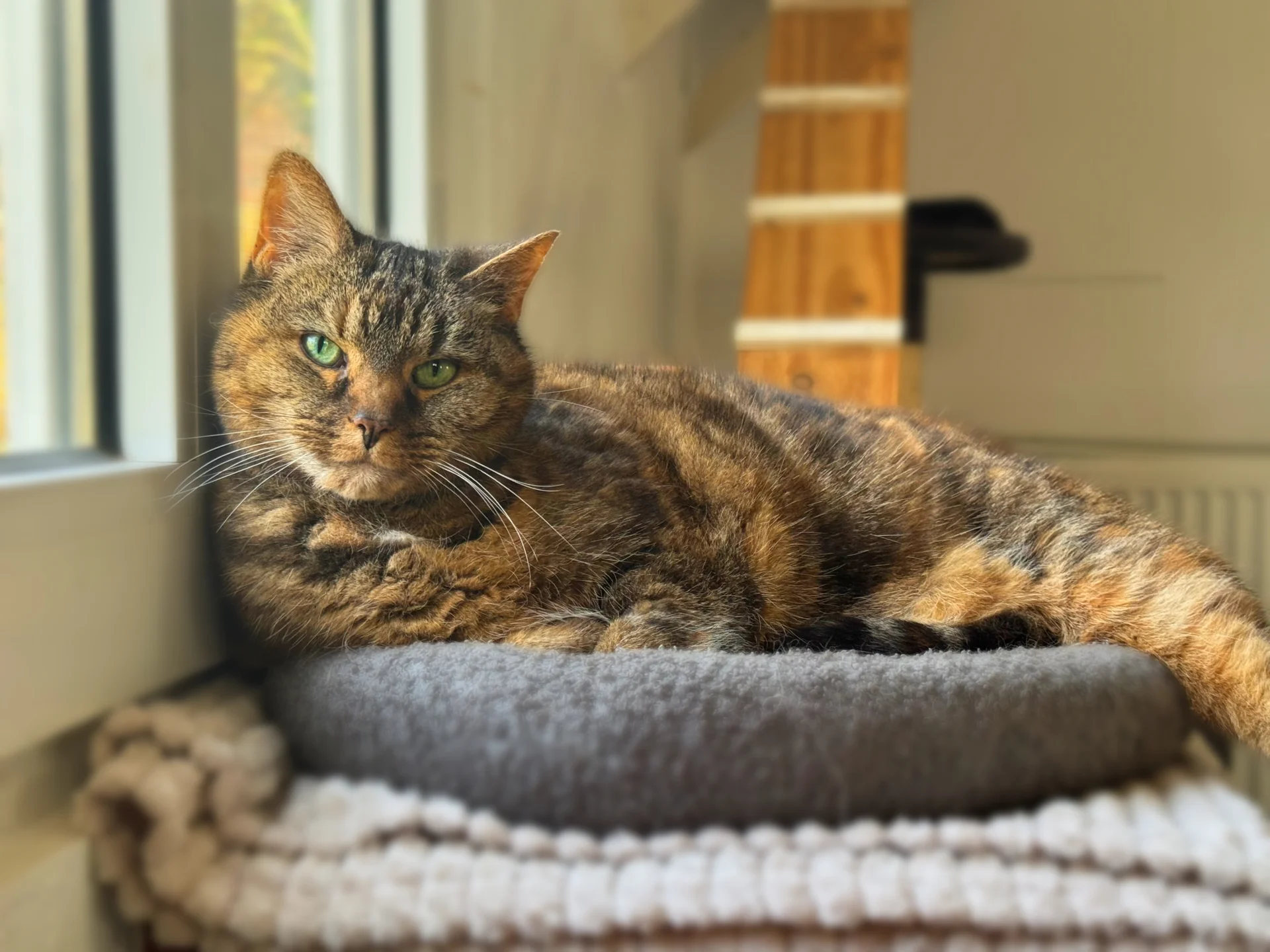 Zur Galerie: Lucy