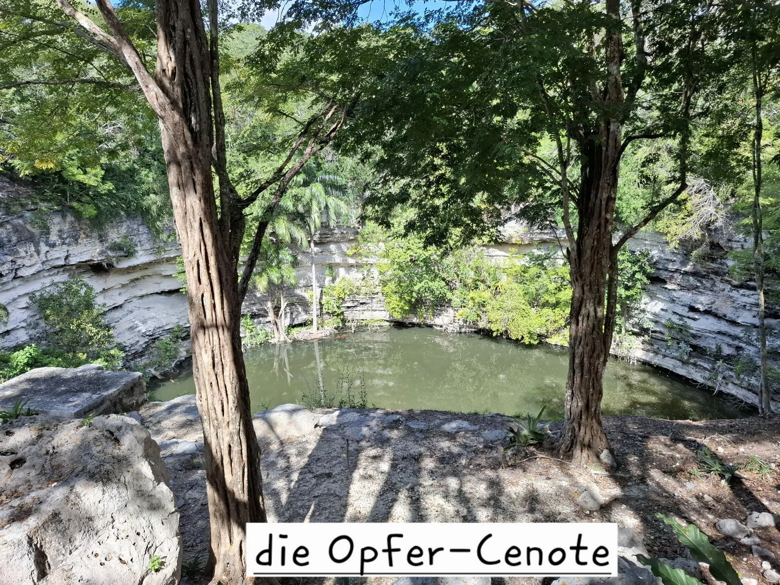 Foto der Galerie: GEMMA DAUCHA 11 - 14 Taucherfreunde im Land der Mayas
