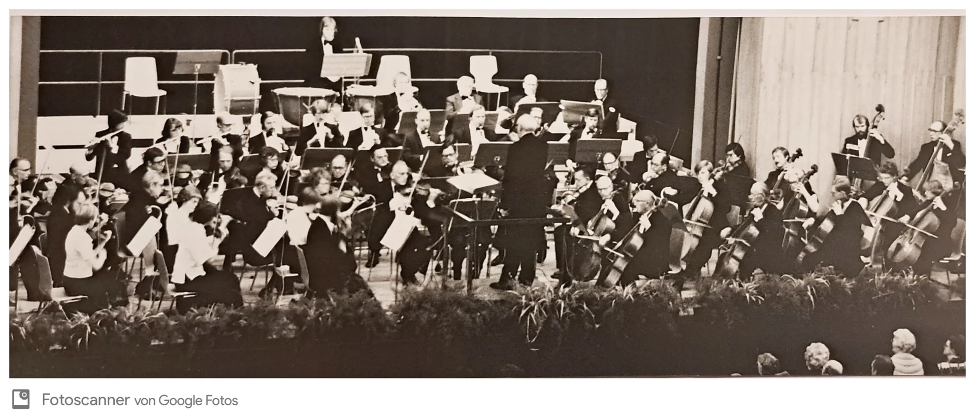 12.11.1977  (Bild vergr&ouml;&szlig;ern)