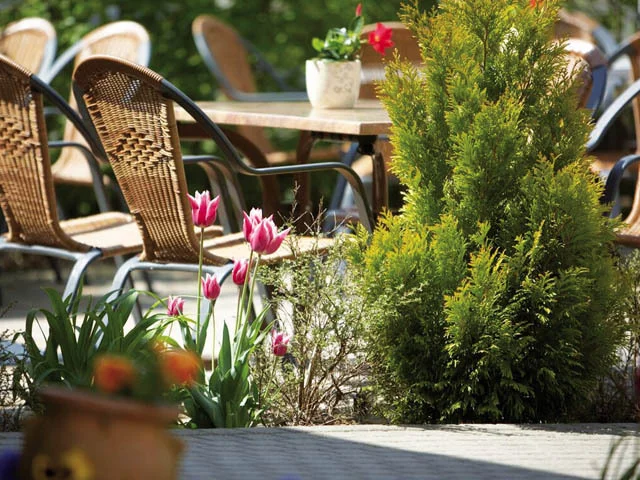 Foto der Galerie: Terrasse