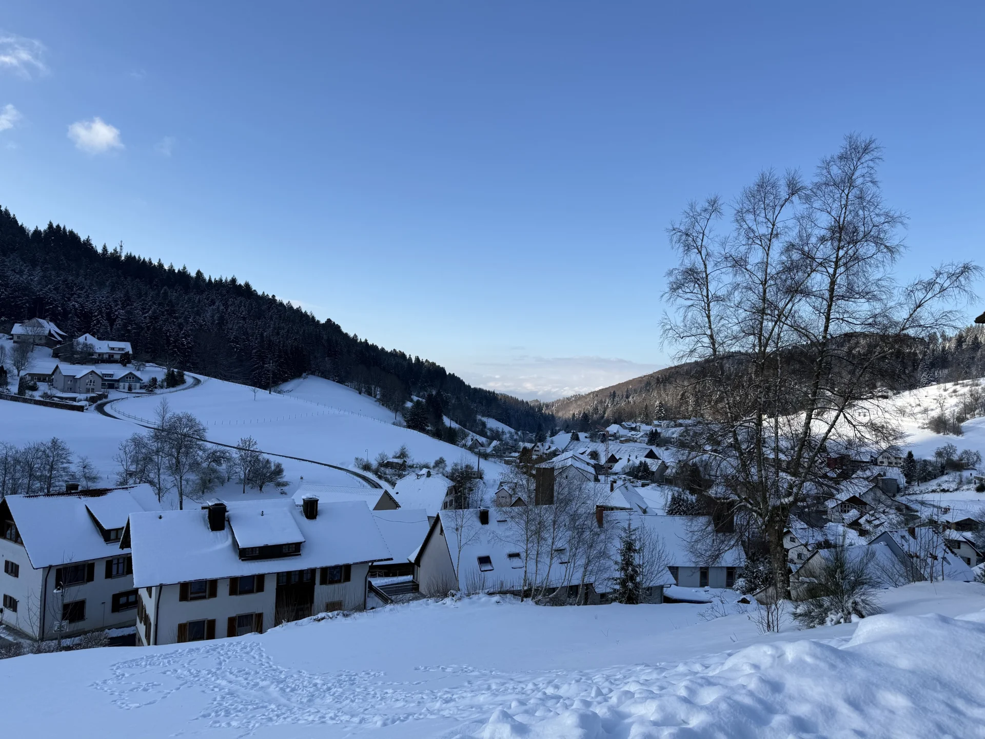 Schnee mitten im M&auml;rz  (Bild vergr&ouml;&szlig;ern)