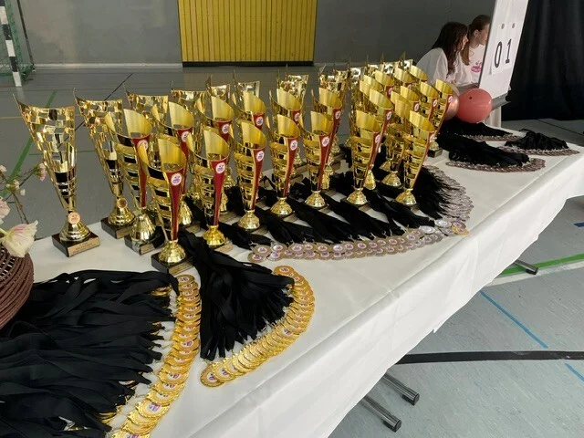 Foto der Galerie: 1. Pirnaer Dance Cup