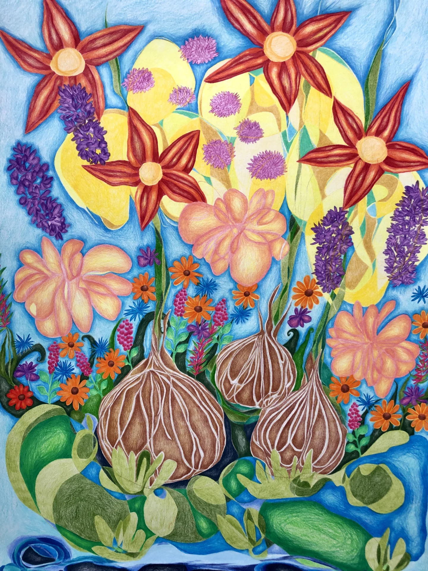 Ausschnitt aus Tulpenzwiebeln (2025) Buntstift auf Papier, DinA2  (Bild vergr&ouml;&szlig;ern)