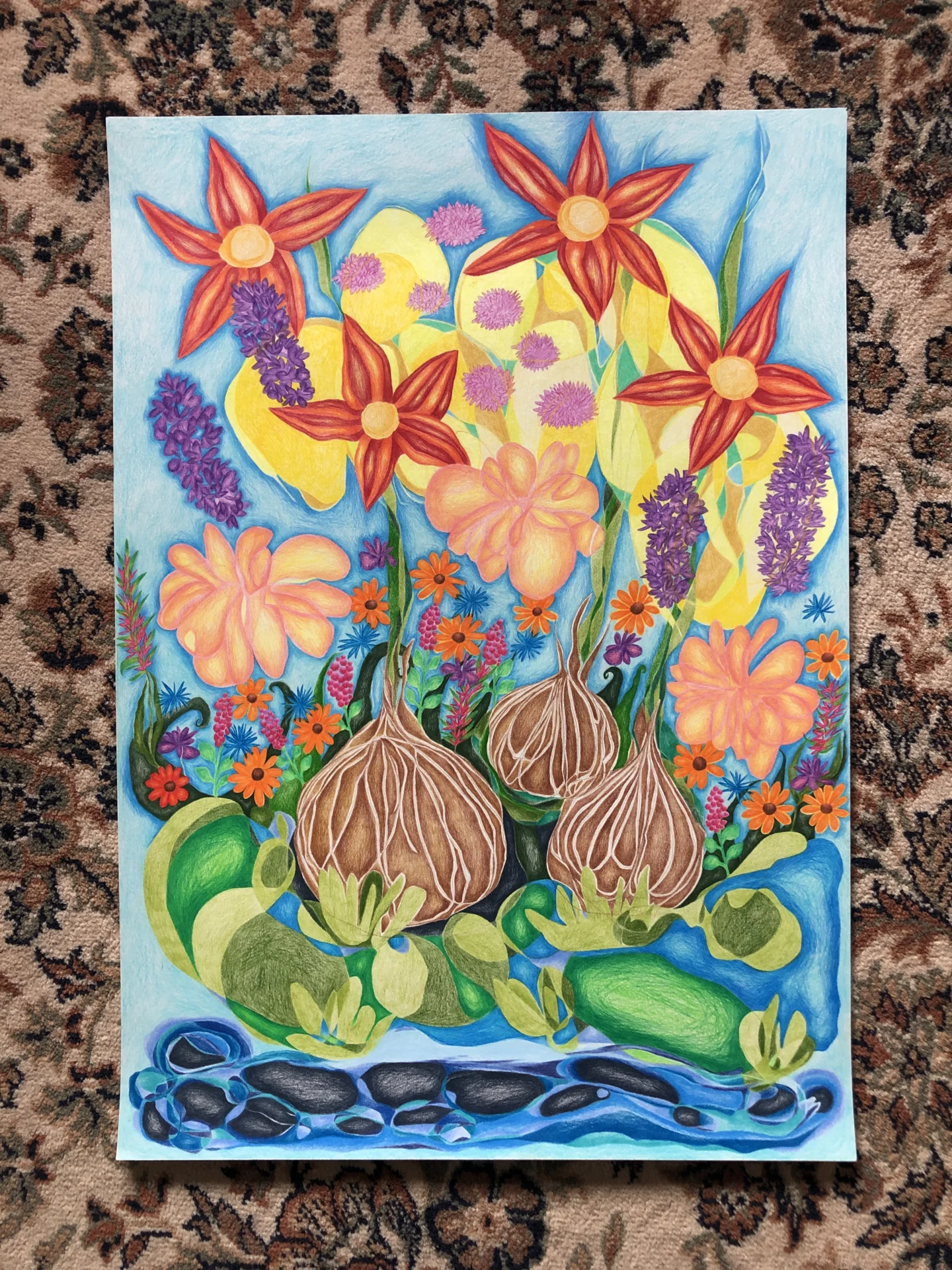 "Tulpenzwiebeln" (2025) Buntstift auf Papier, DinA2  (Bild vergr&ouml;&szlig;ern)