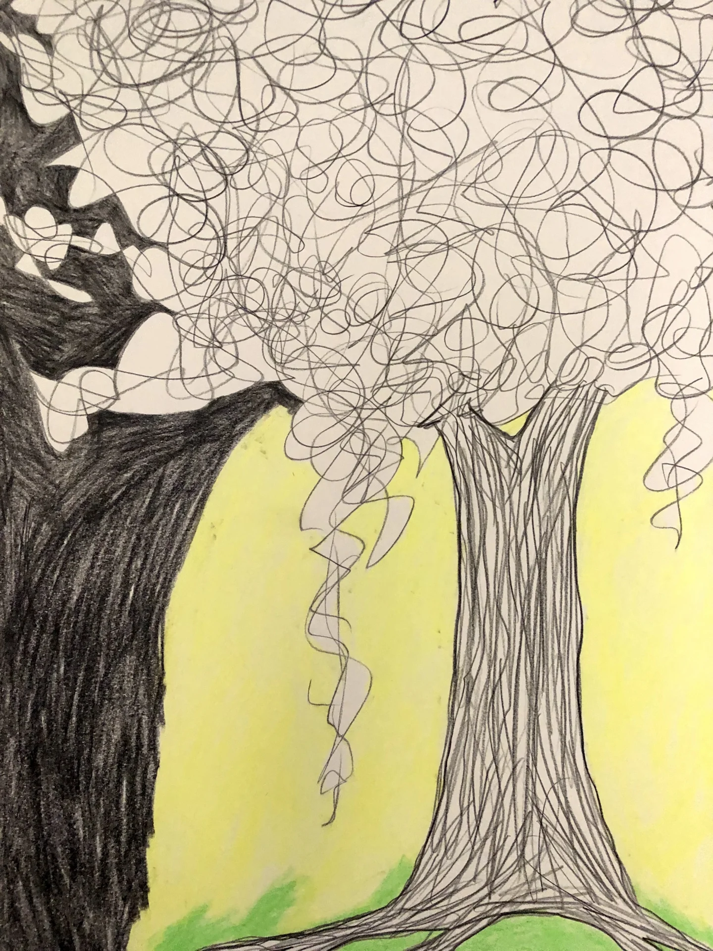 Baum, wenig Farbe (2018) Buntstft auf Papier, DinA2  (Bild vergr&ouml;&szlig;ern)