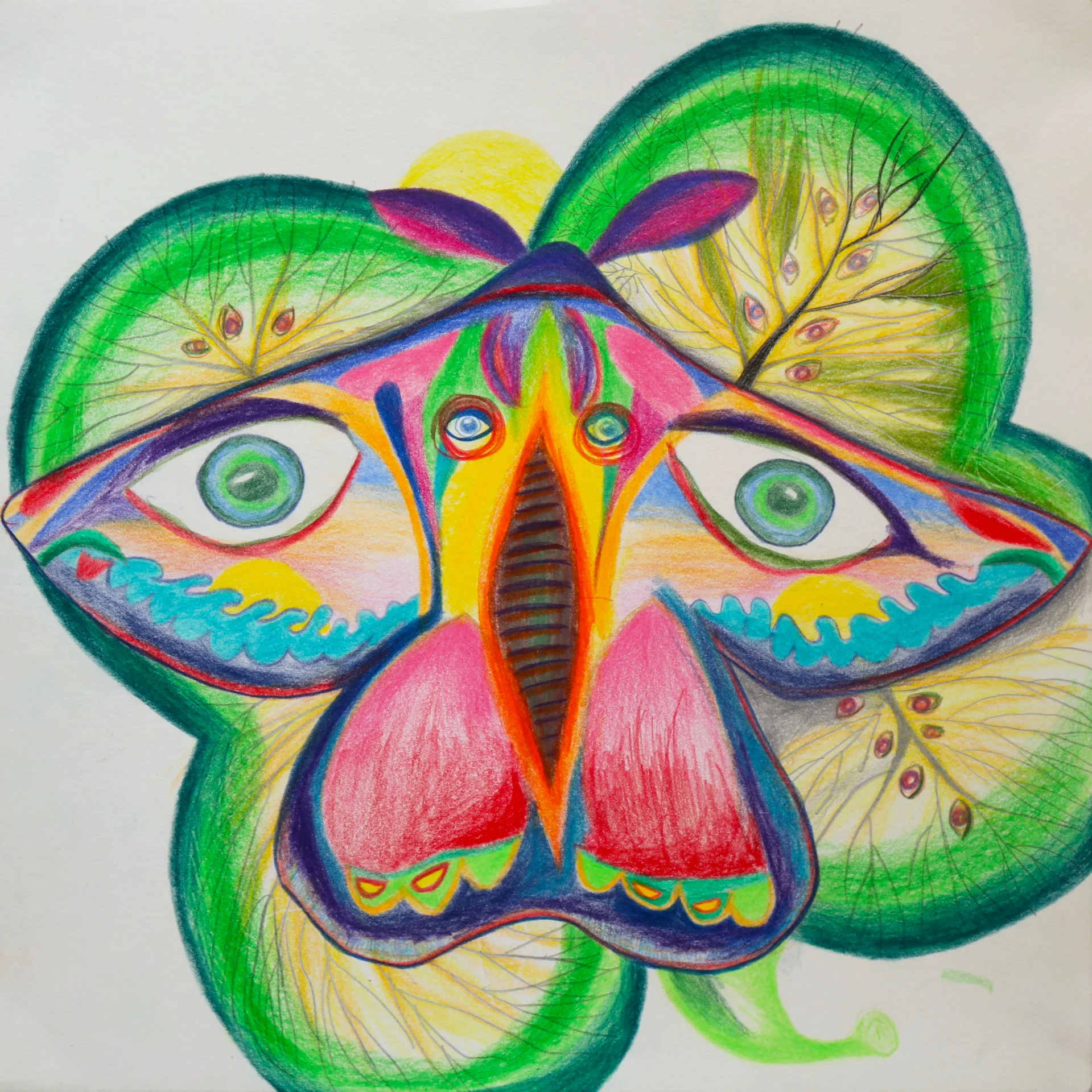 Psychedelischer Schmetterling (2016) Buntstift auf Papier, ca  27x27cm  (Bild vergr&ouml;&szlig;ern)