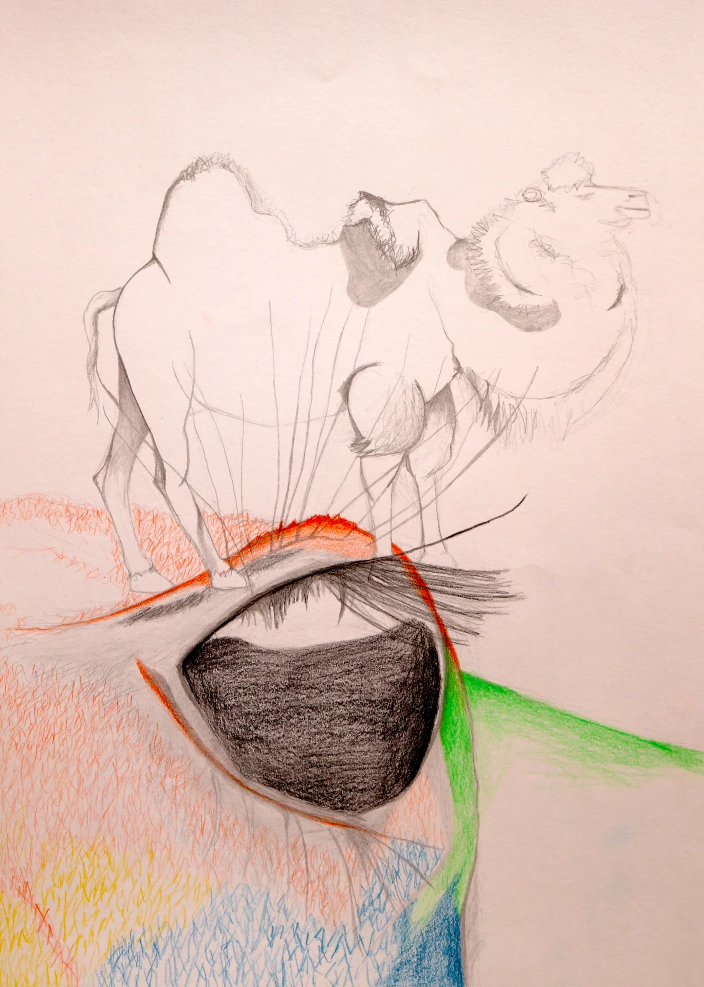 Kamel auf Kamel (2011) Buntstift und Bleistift auf Papier DinA3  (Bild vergr&ouml;&szlig;ern)