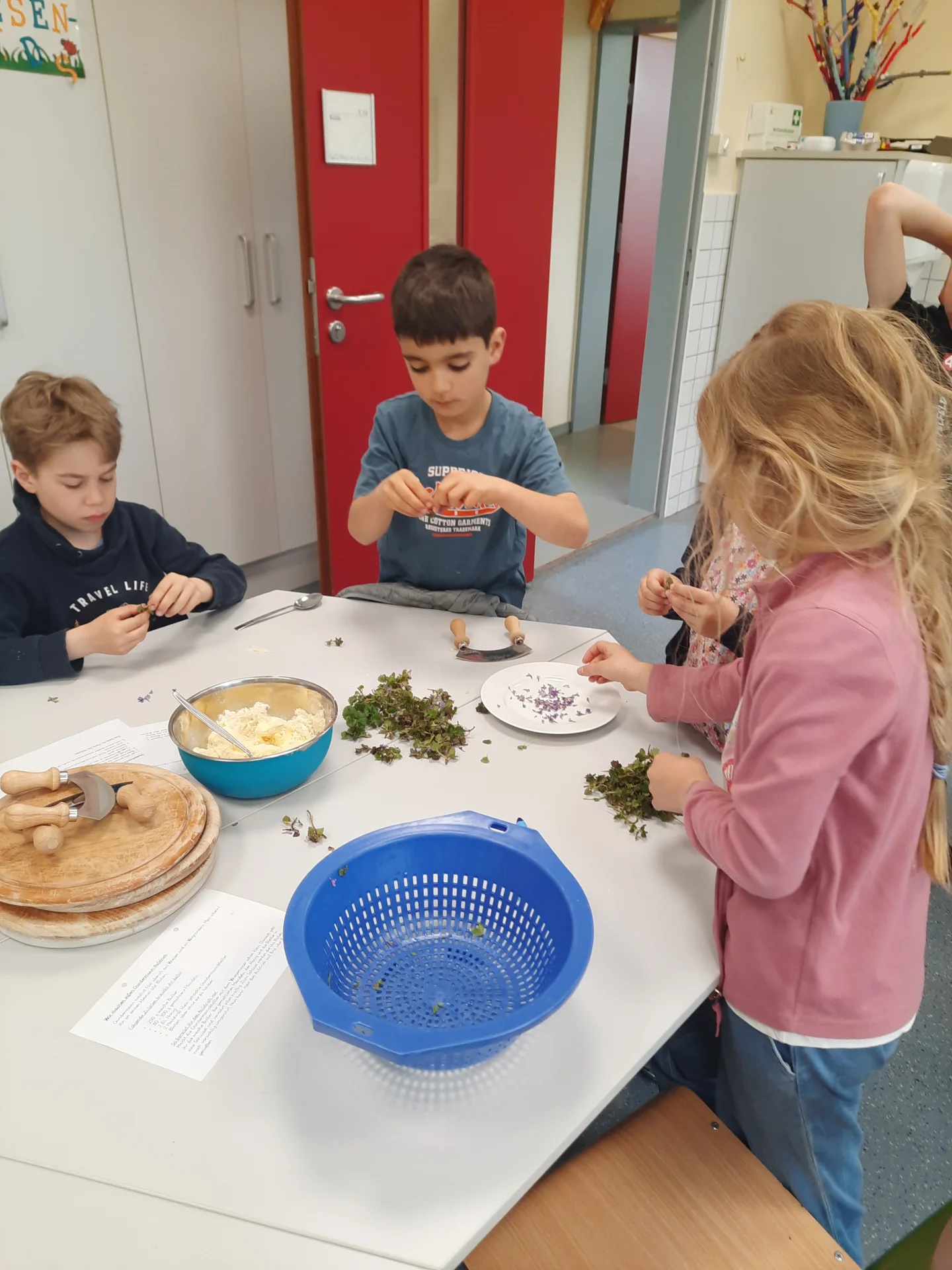 Foto der Galerie: Wildkräutermonate in Klasse 2