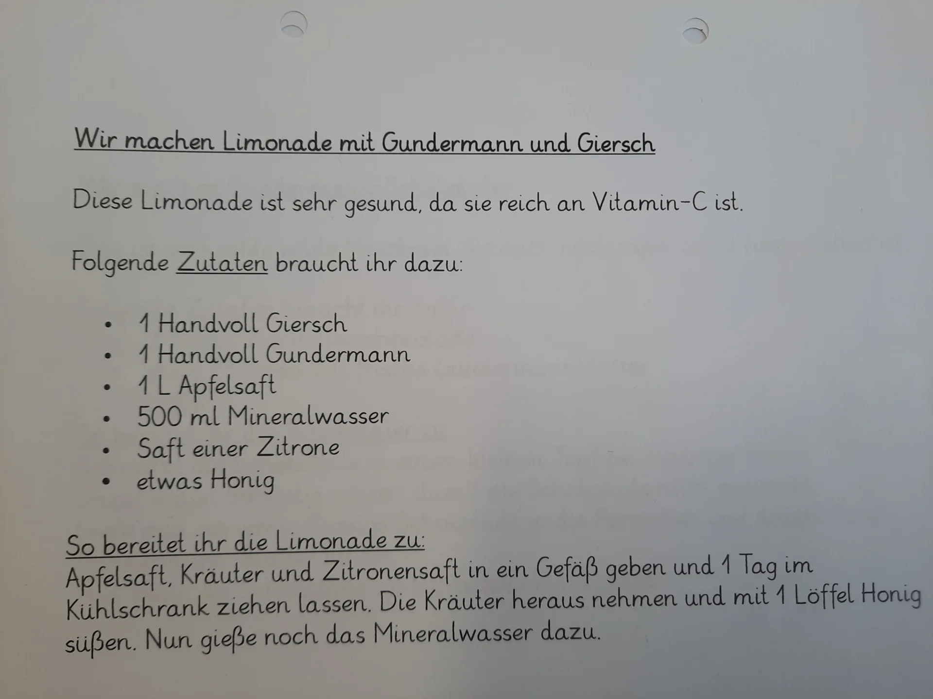 Foto der Galerie: Wildkräutermonate in Klasse 2