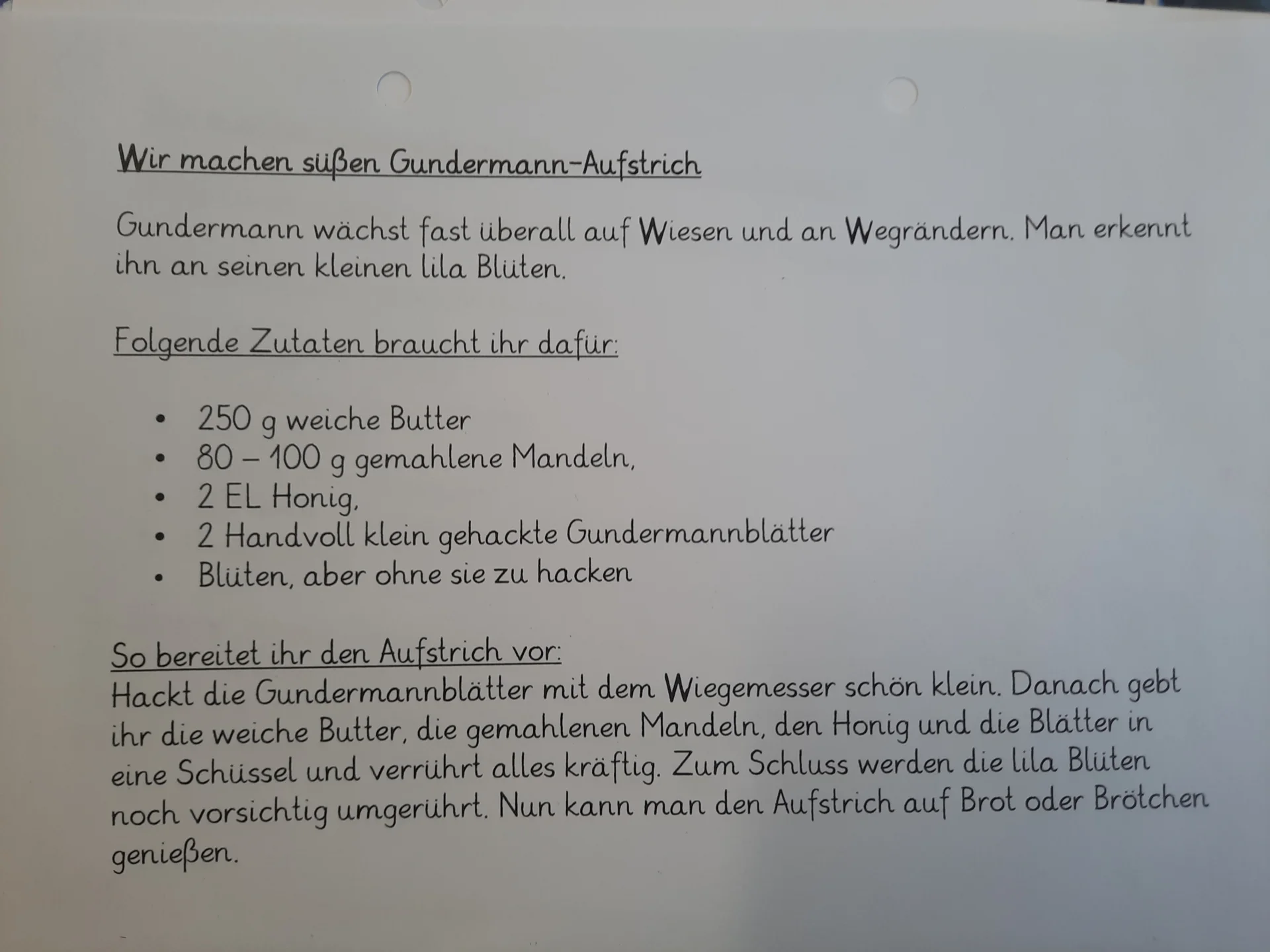 Foto der Galerie: Wildkräutermonate in Klasse 2