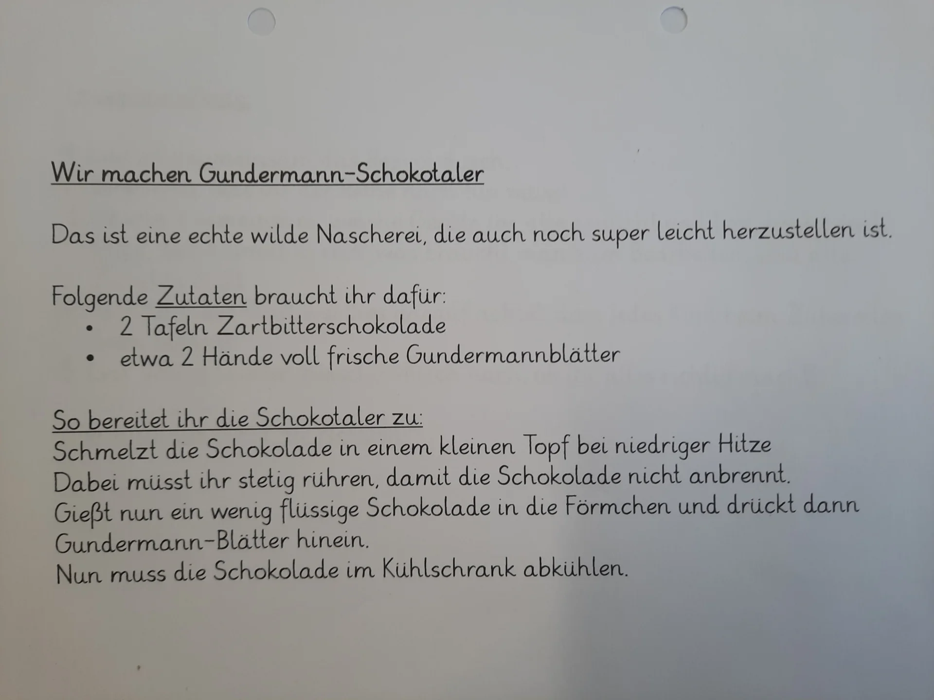 Foto der Galerie: Wildkräutermonate in Klasse 2