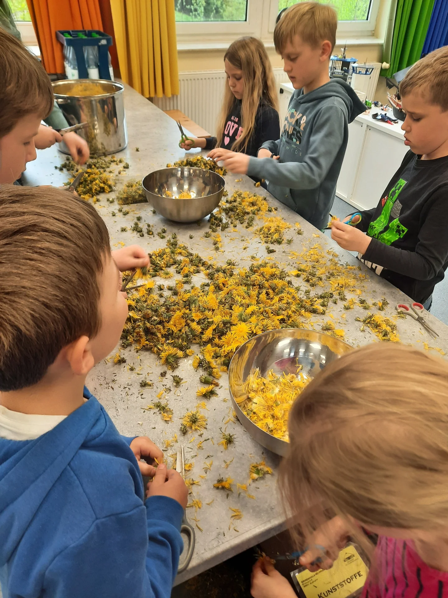 Foto der Galerie: Wildkräutermonate in Klasse 2