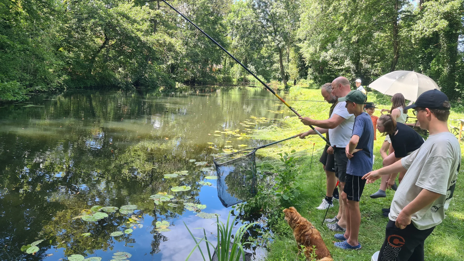 Foto der Galerie: 2024 Angel-Camp