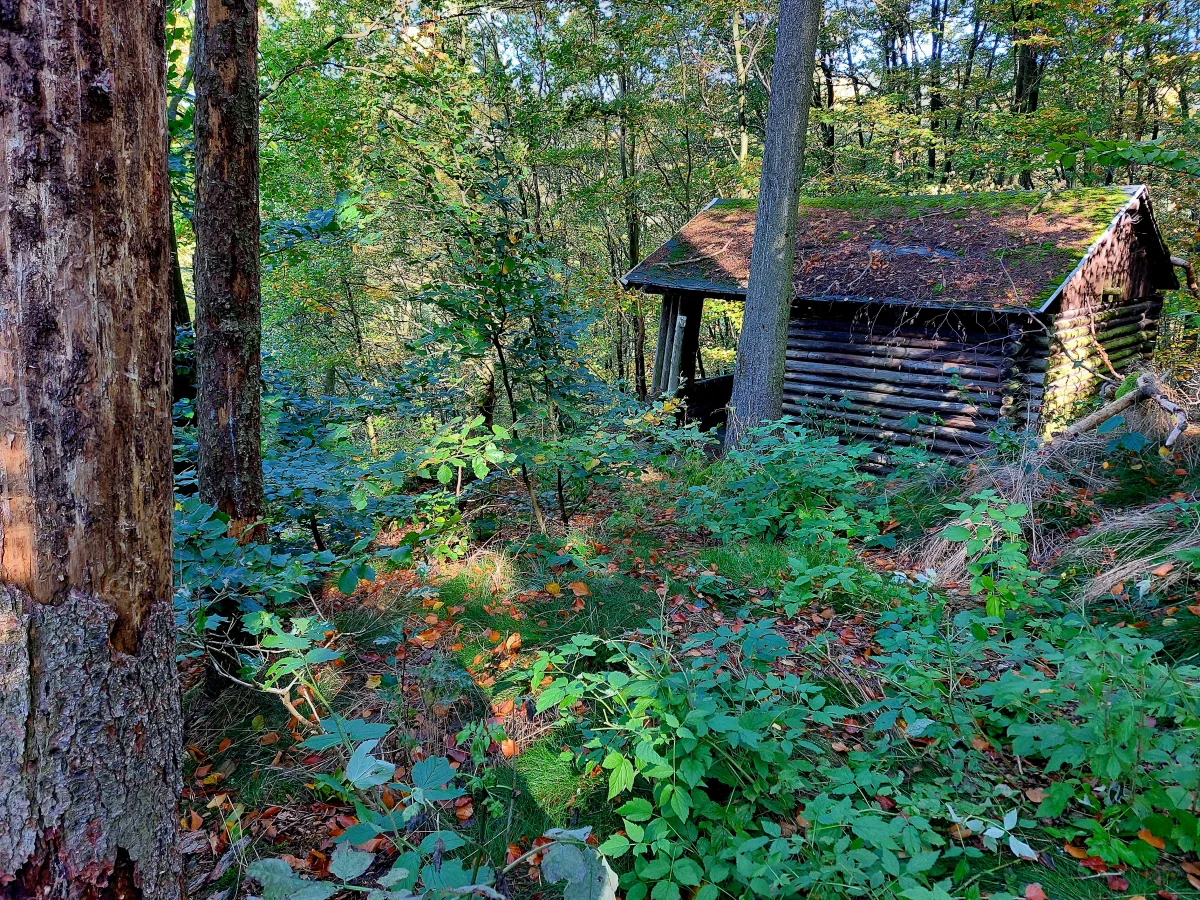 Schutzh&uuml;tte am Schwarzburgblick  (Bild vergr&ouml;&szlig;ern)