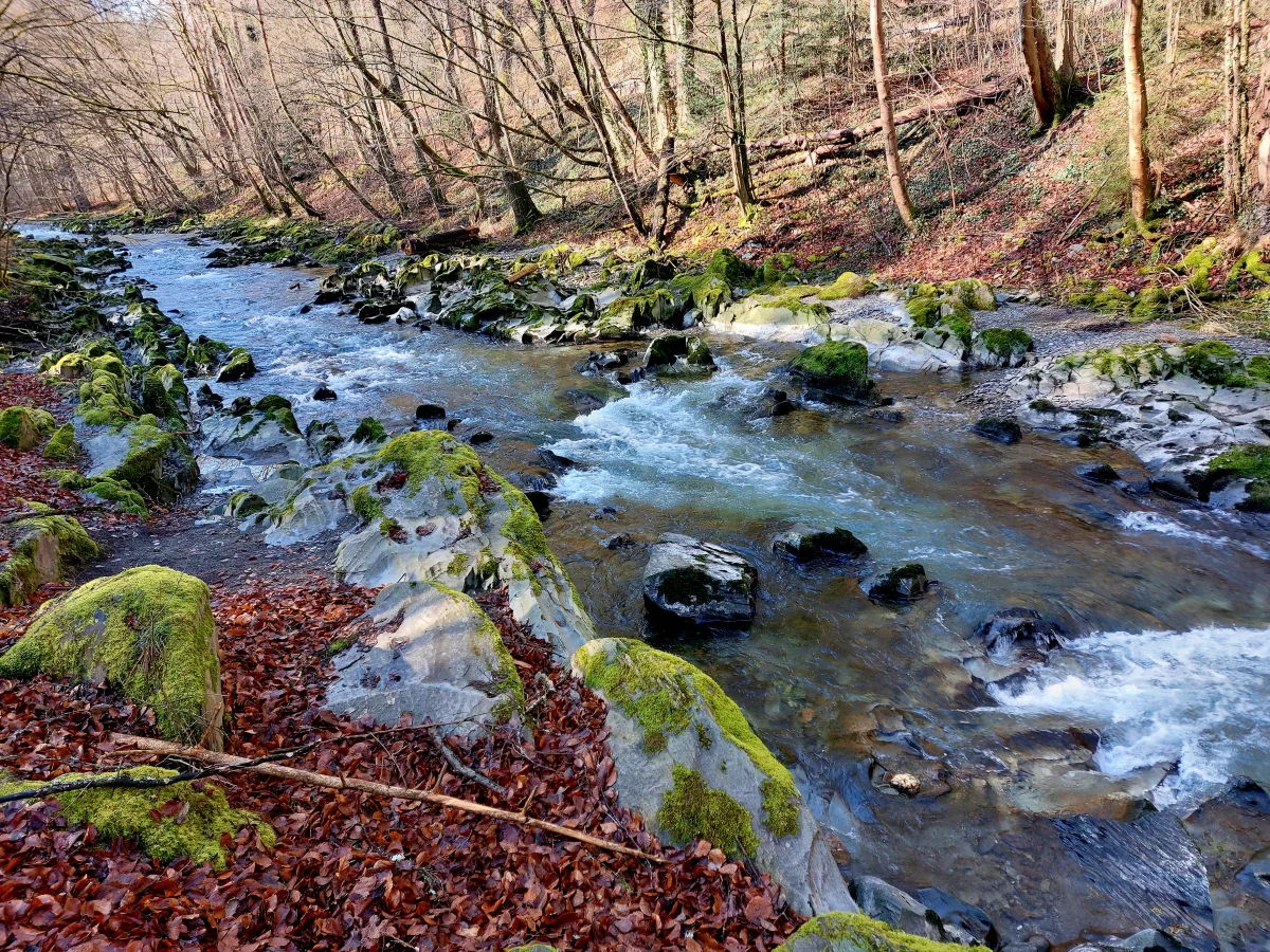 Strudelt&ouml;pfe im Schwarzatal Picknick am Flo&szlig;graben  (Bild vergr&ouml;&szlig;ern)